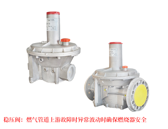 菲奧 FIORENTINI 天然氣穩(wěn)壓閥燃氣減壓閥天然氣減壓閥燃氣穩(wěn)壓閥300613006230063301603016130162301643016330165301663016730168